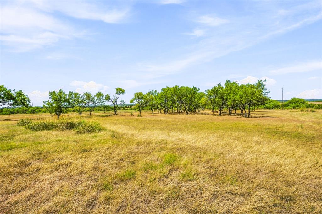 12824 Fm 1769 Property Photo 28