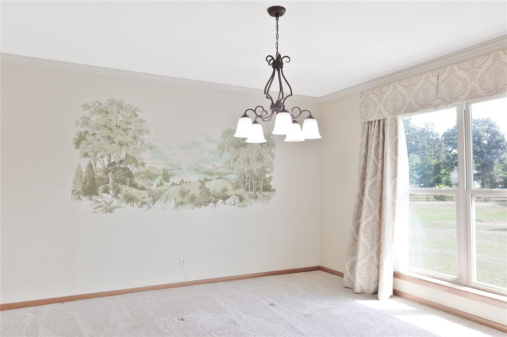 223 Fm 488 Property Photo 11