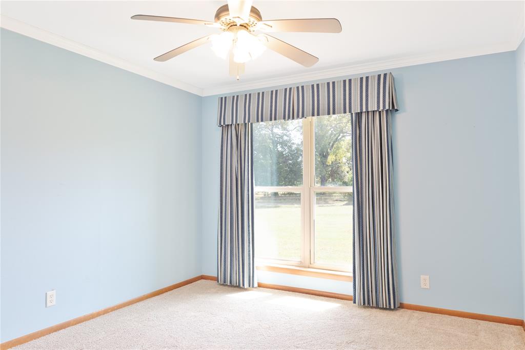 223 Fm 488 Property Photo 24