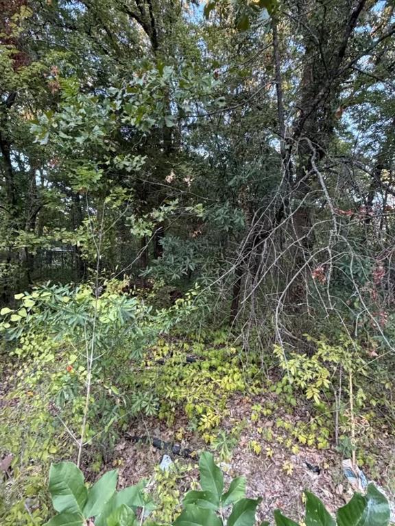 132 Chapperall Drive Property Photo 6