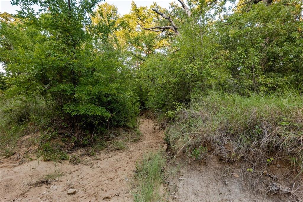 Tbd Fm 1027 Property Photo 7