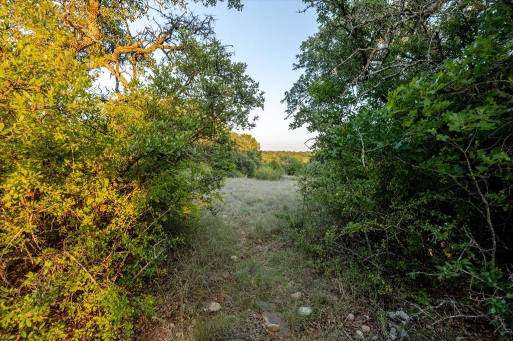 Tbd Fm 1027 Property Photo 17