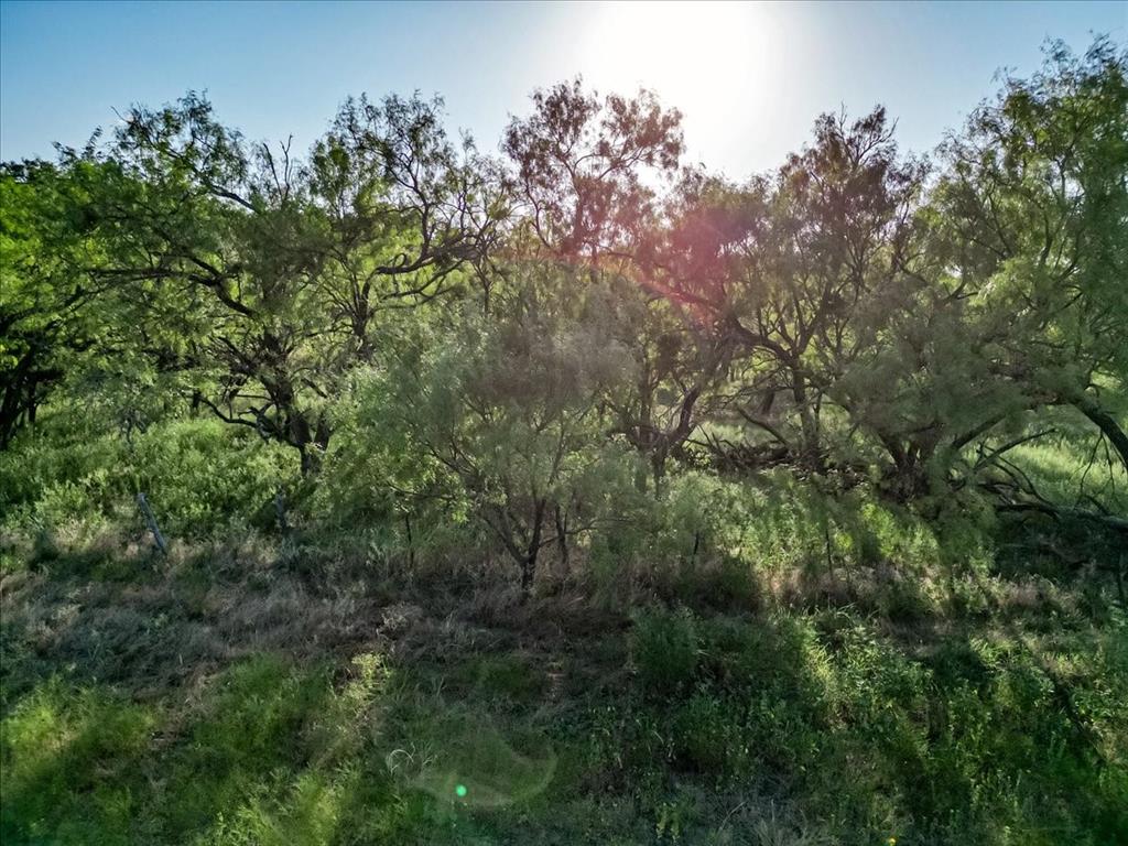 Tbd Fm 1027 Property Photo 21