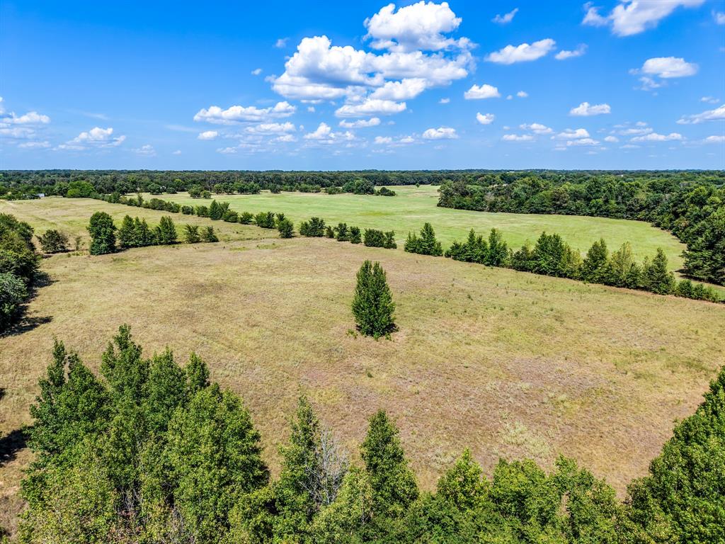 Tbd County Road 2331 Property Photo 1