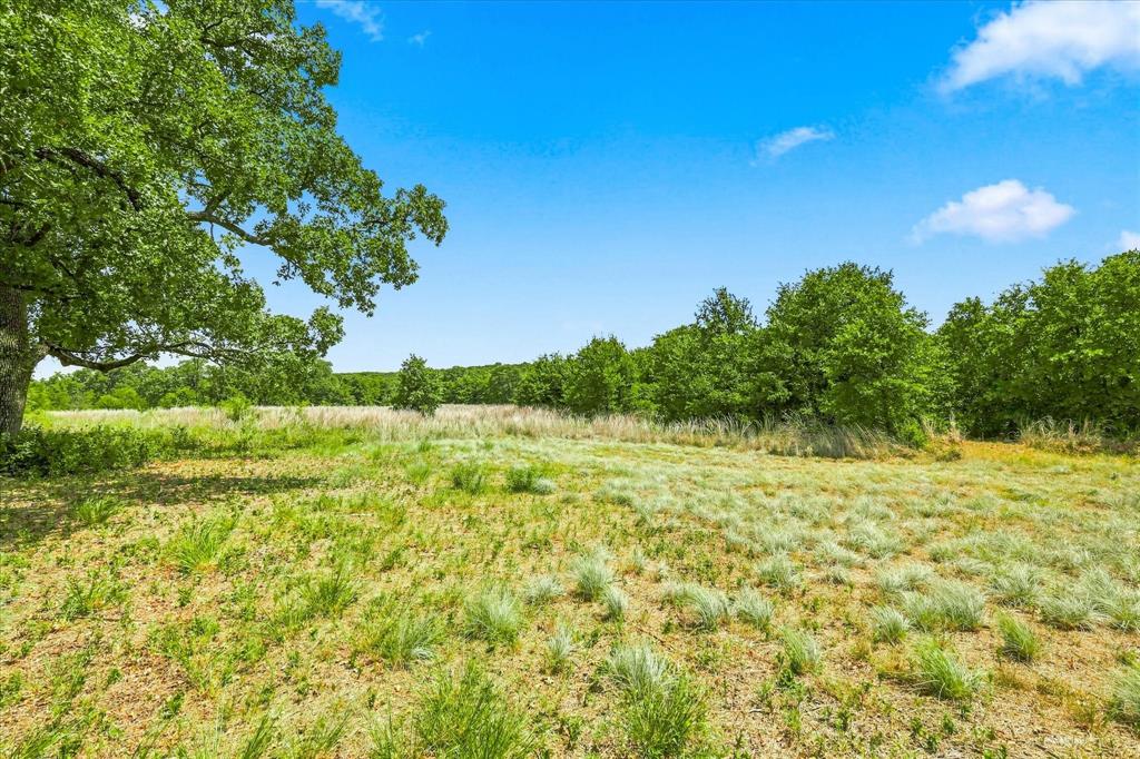 1150 Dps Tower Road Lot#50 Property Photo 5