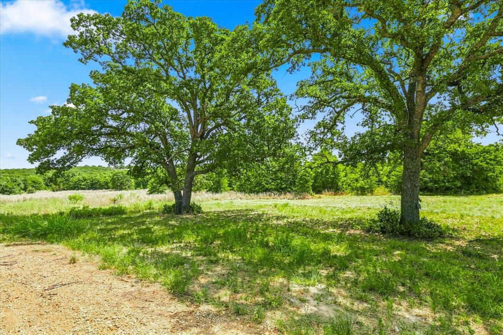 1150 Dps Tower Road Lot#50 Property Photo 6