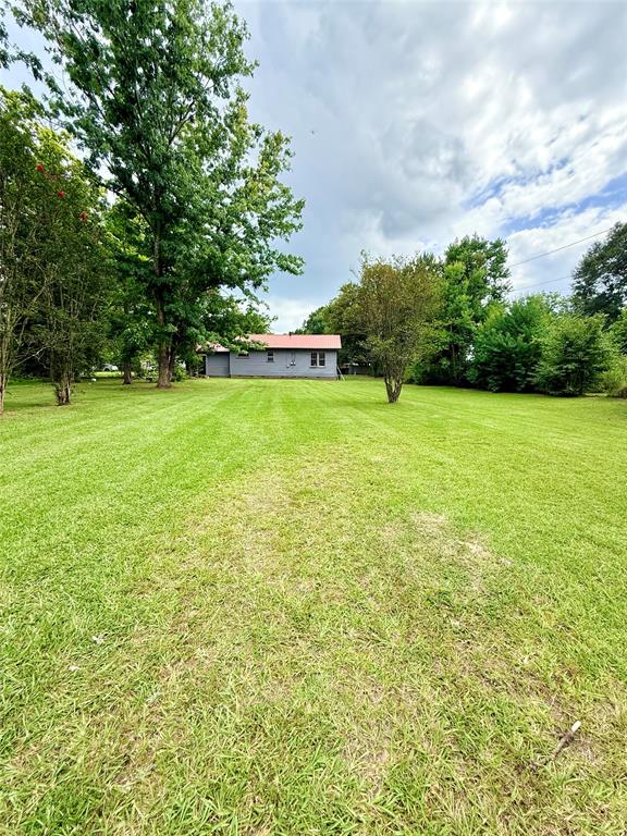 316 Moore Street Property Photo 16