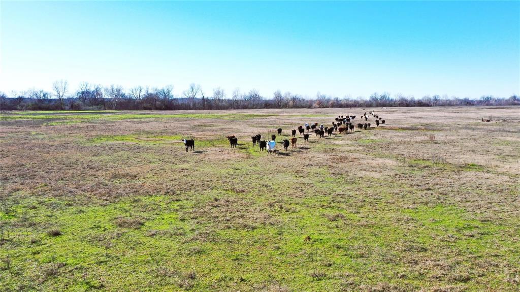 Tbd Red River Tbd Red River Property Photo 9