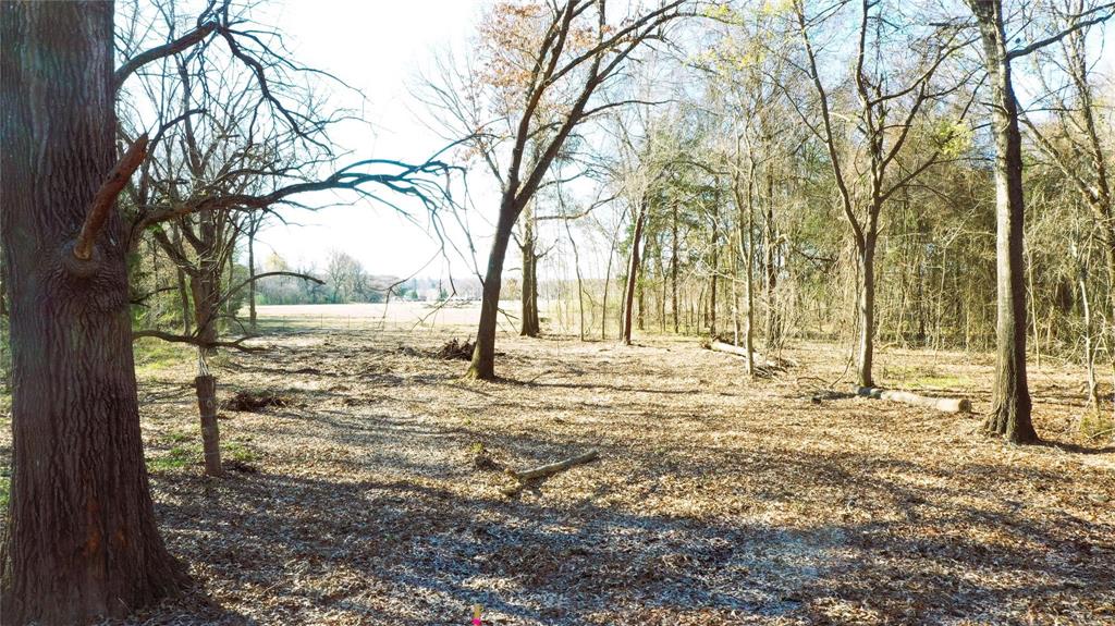 Tbd Red River Tbd Red River Property Photo 18