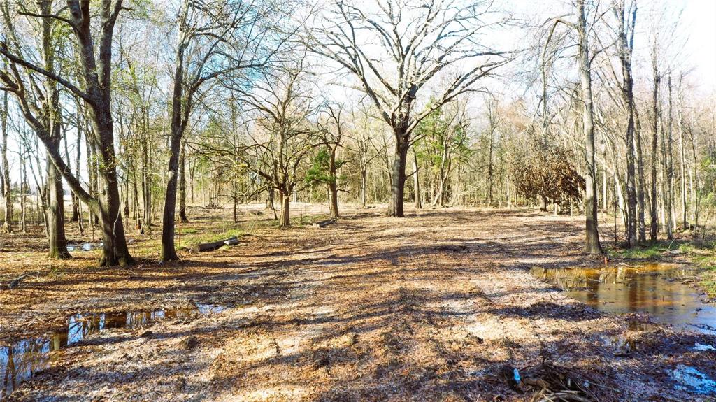 Tbd Red River Tbd Red River Property Photo 20