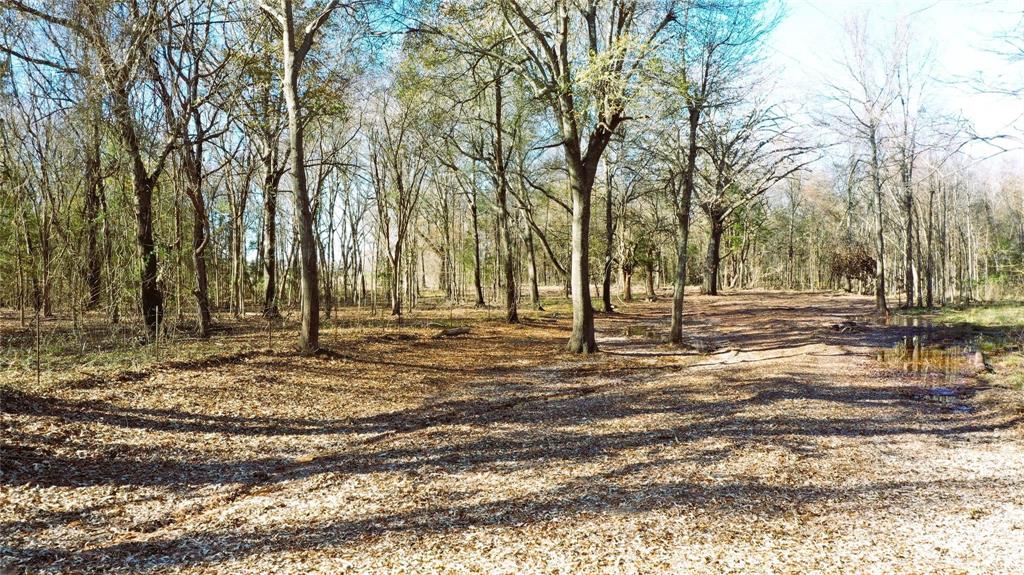Tbd Red River Tbd Red River Property Photo 21