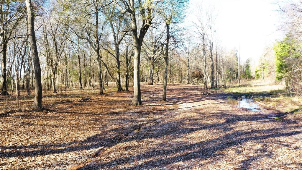 Tbd Red River Tbd Red River Property Photo 22