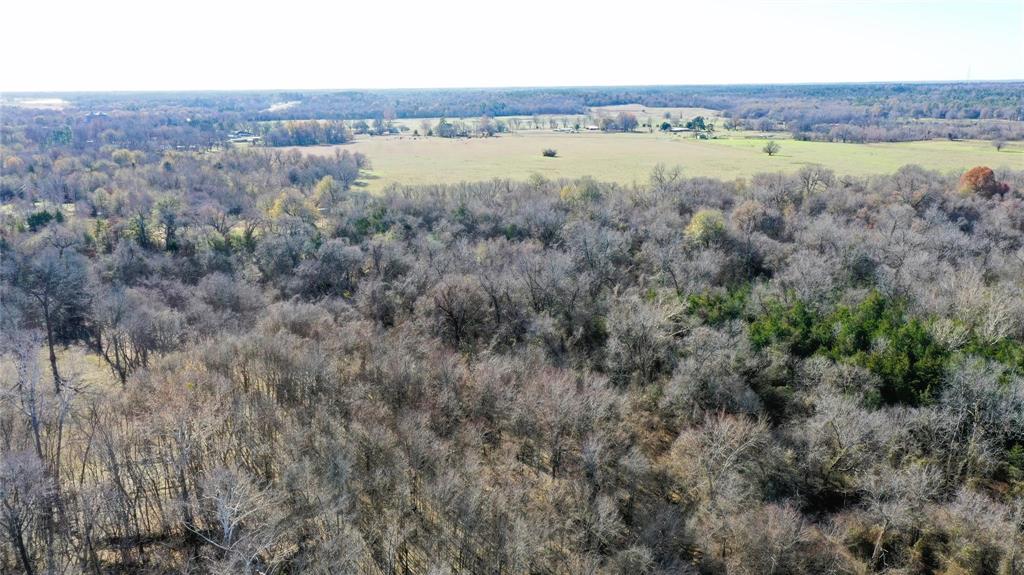 Tbd Red River Tbd Red River Property Photo 23