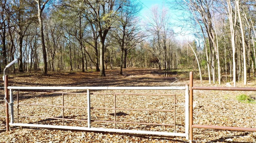Tbd Red River Tbd Red River Property Photo 29