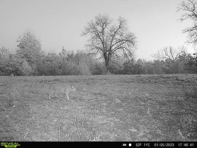 Tbd Red River Tbd Red River Property Photo 31