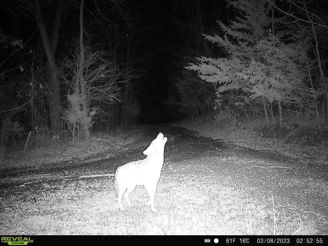 Tbd Red River Tbd Red River Property Photo 32