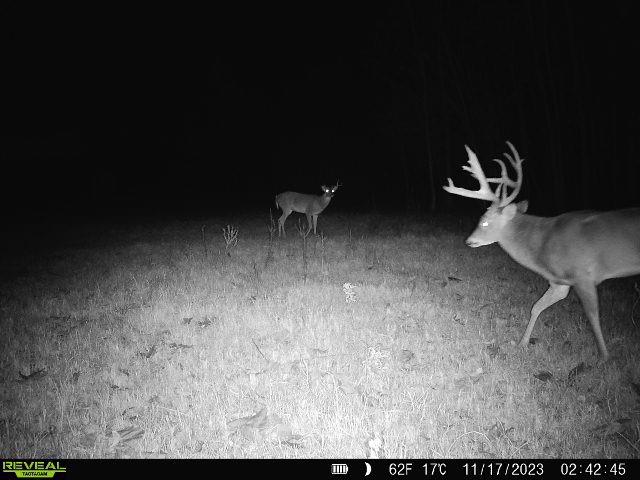 Tbd Red River Tbd Red River Property Photo 35