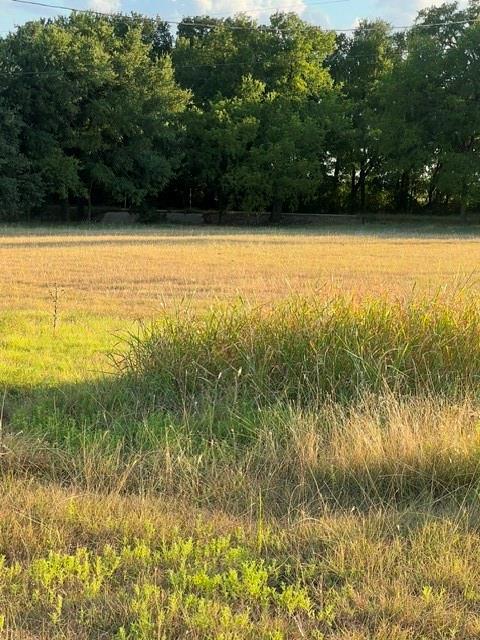 2561 County Road 279 Property Photo 2