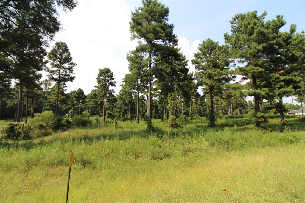 3559 Parish Line Road Property Photo 3