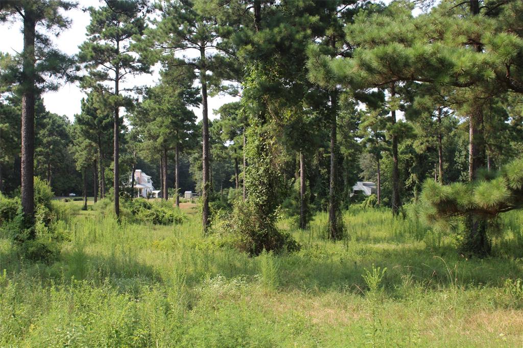 3559 Parish Line Road Property Photo 4