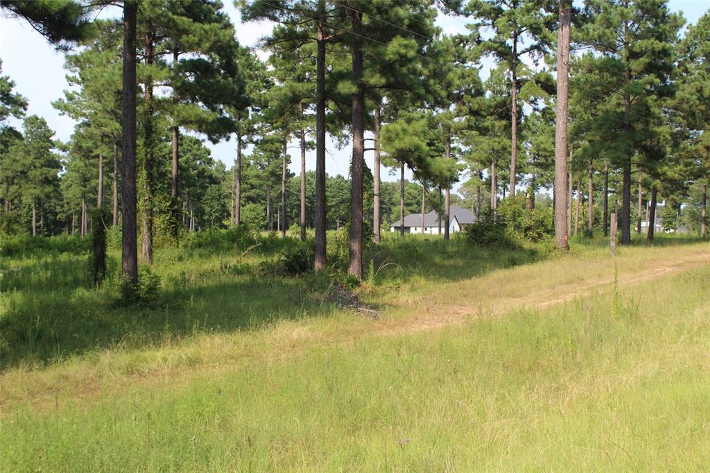 3559 Parish Line Road Property Photo 5
