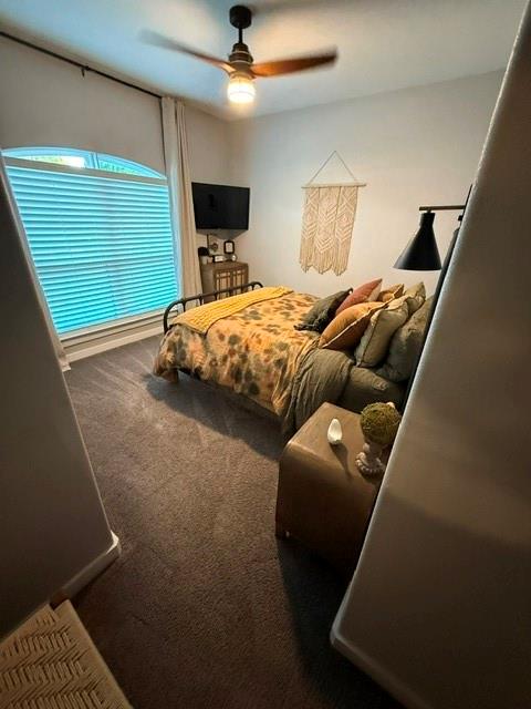 1635 Frederick Street Property Photo 24