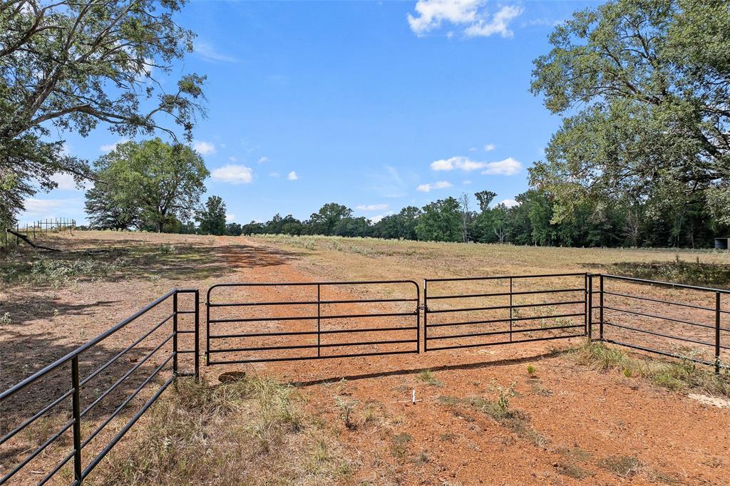 459 County Road 3303 Property Photo 1