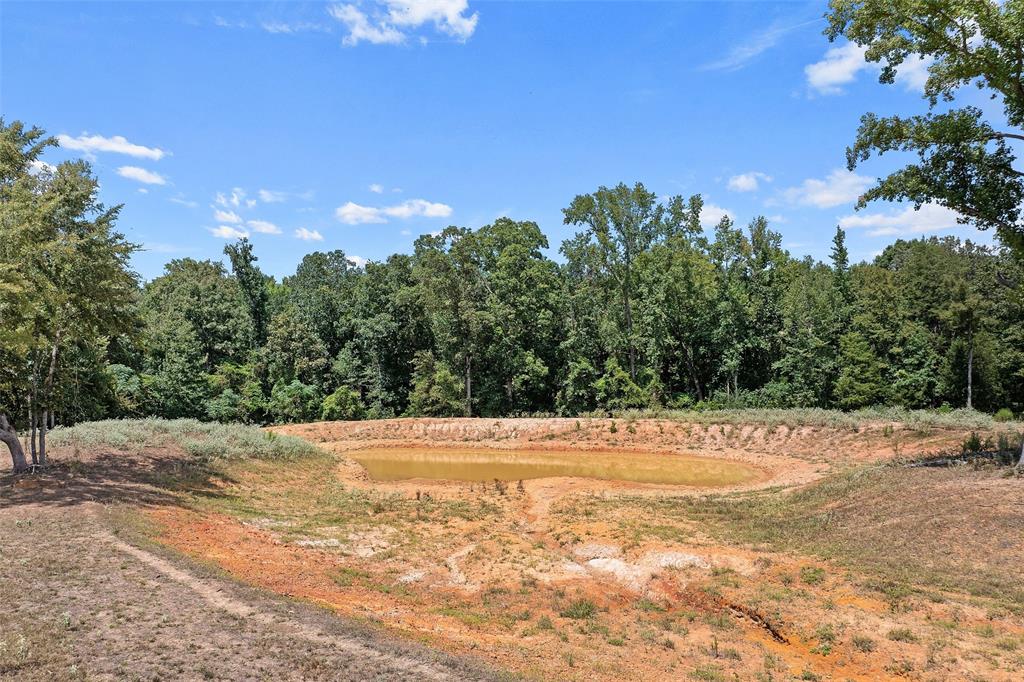 459 County Road 3303 Property Photo 6
