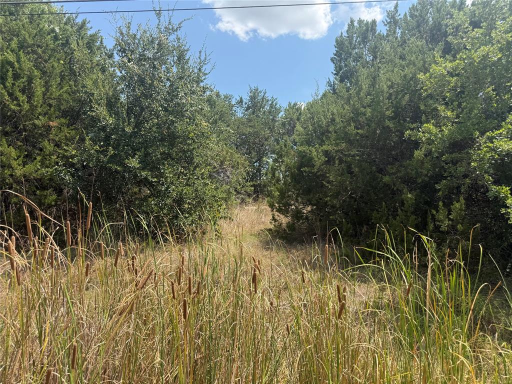 817 Pawnee Trail Property Photo 1