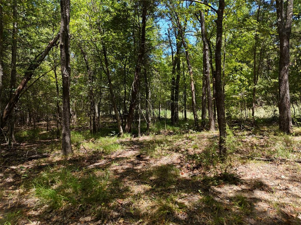 1600 Cr 2765 Property Photo 8