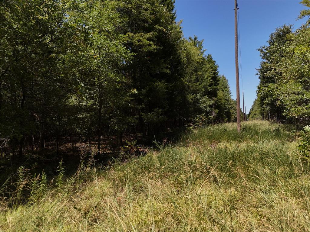 1600 Cr 2765 Property Photo 9