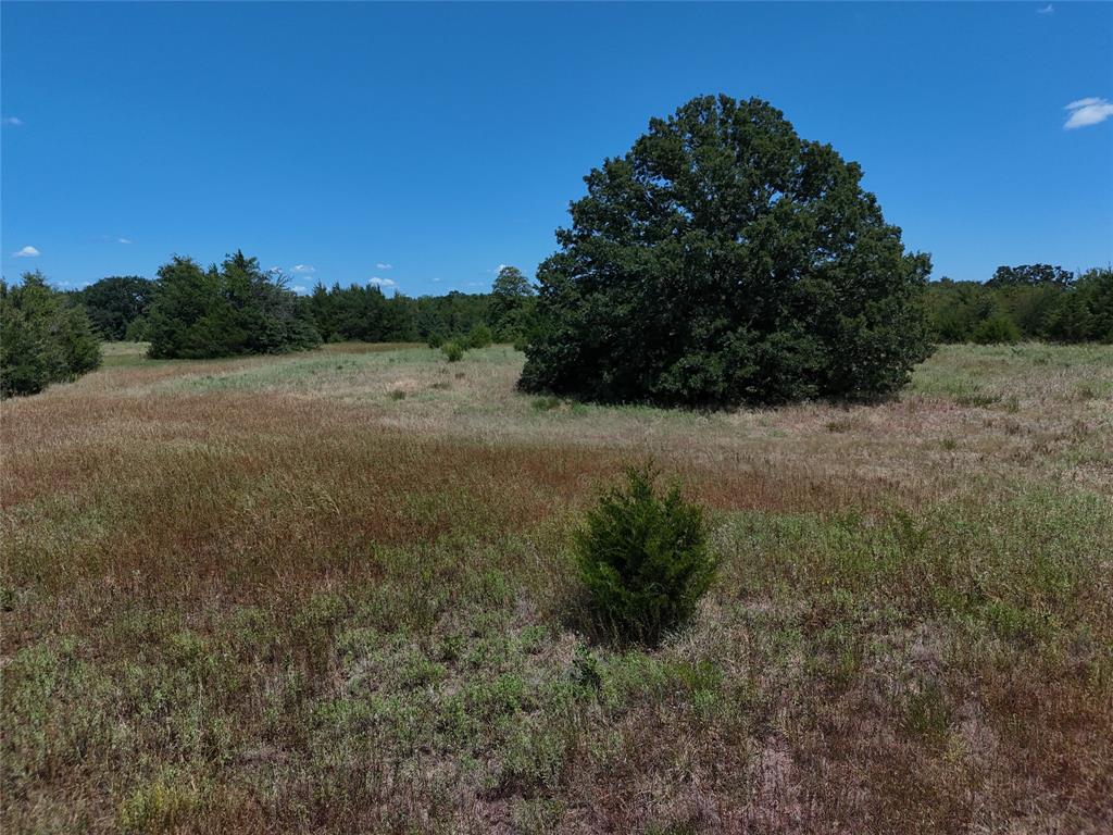 1600 Cr 2765 Property Photo 12