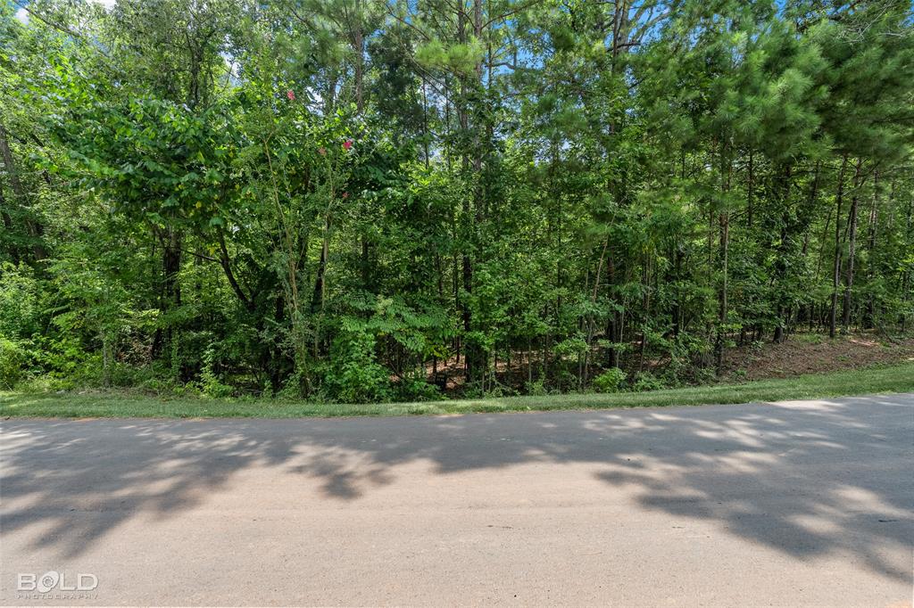 150 Oak Leaf Trail Property Photo 2