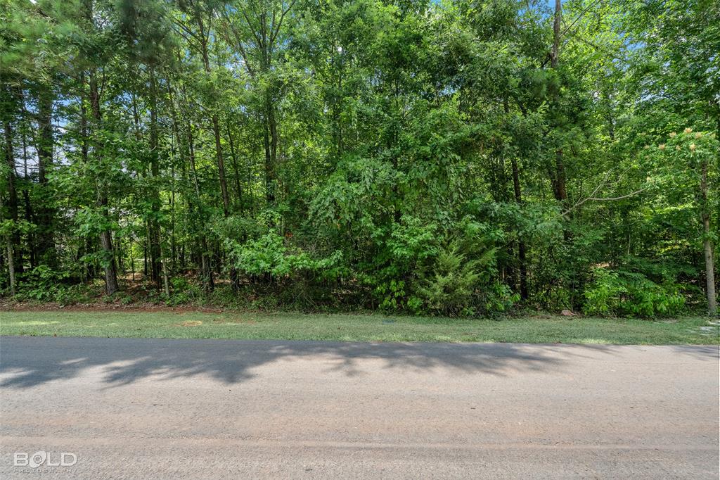 150 Oak Leaf Trail Property Photo 3