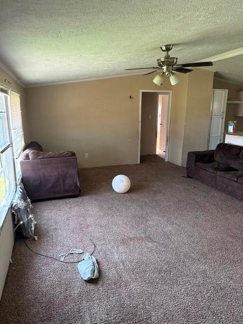 8517 Open Sky Court Property Photo 4