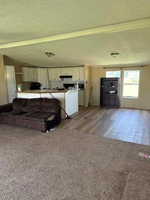 8517 Open Sky Court Property Photo 5