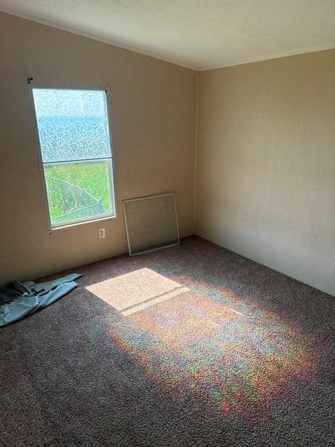 8517 Open Sky Court Property Photo 11