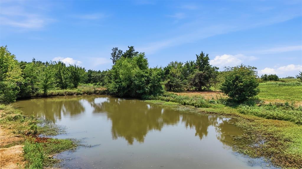 Tbd Lot 5 County Road 155 Property Photo 10