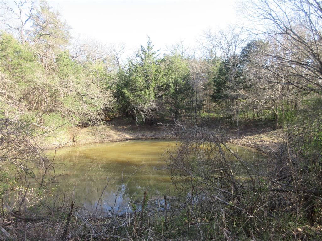 11320 County Road 528 Property Photo 11