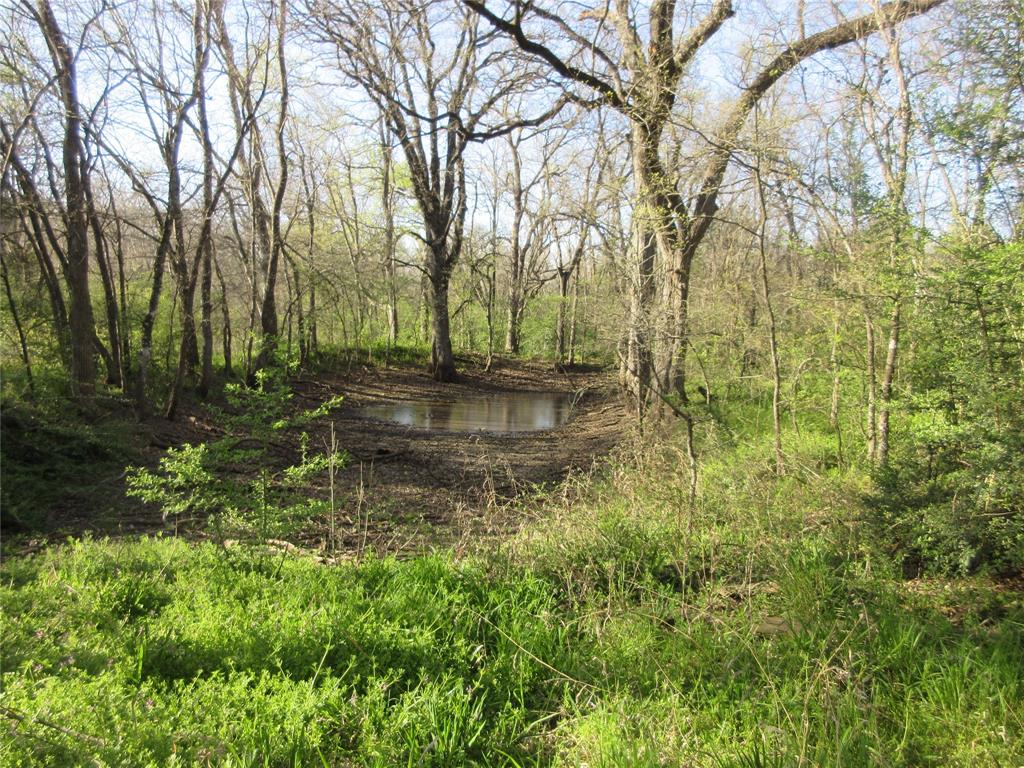 11320 County Road 528 Property Photo 12