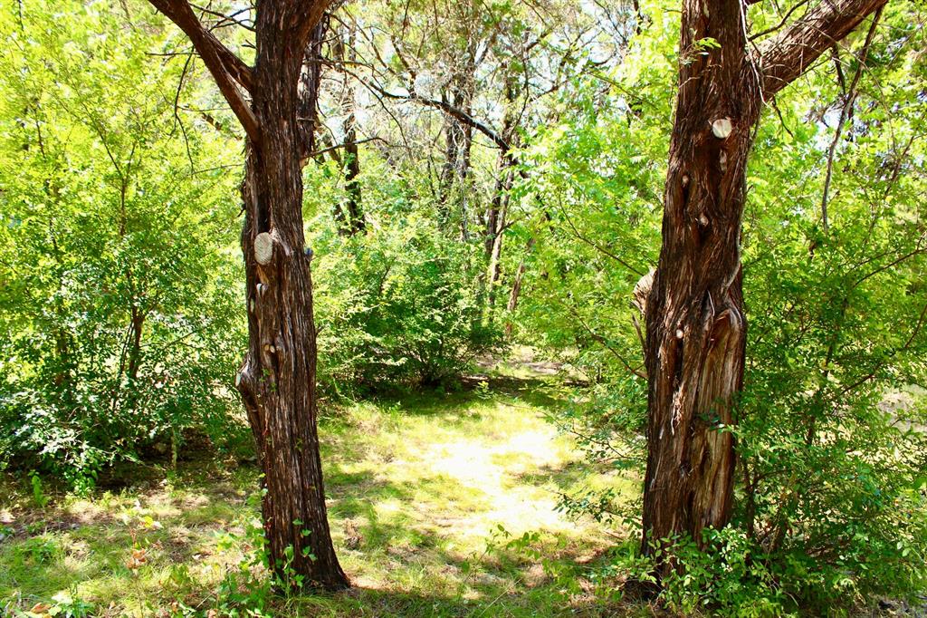 4902 Village Drive Property Photo 10