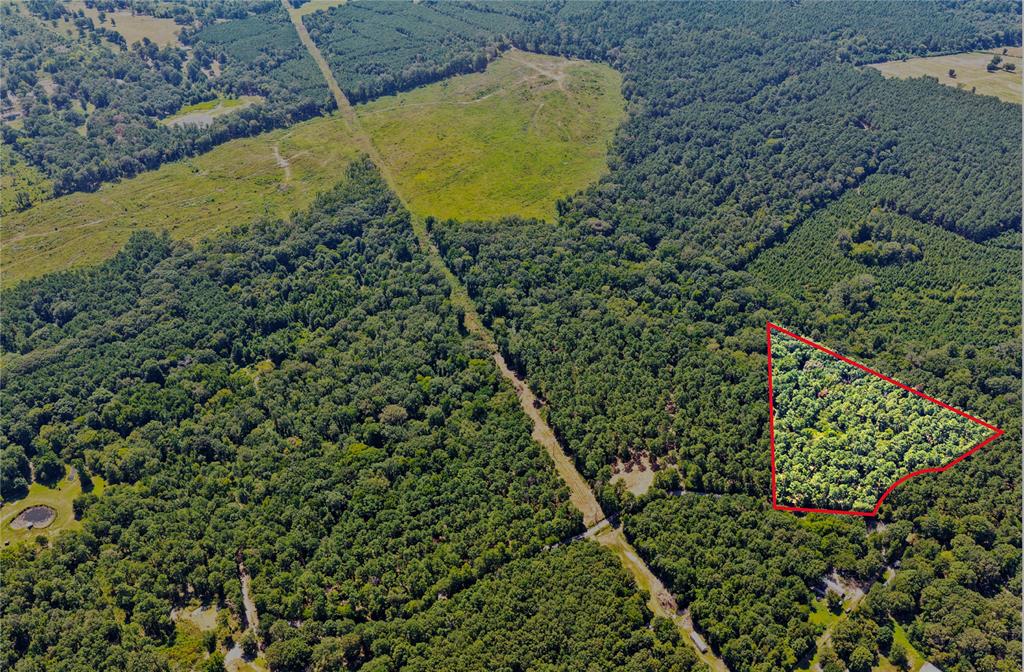 Lot 1 County Road 1240 Property Photo 1