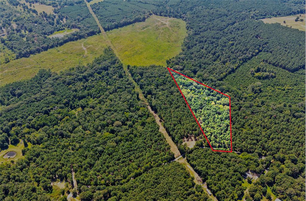 Lot 2 County Road 1240 Property Photo 1