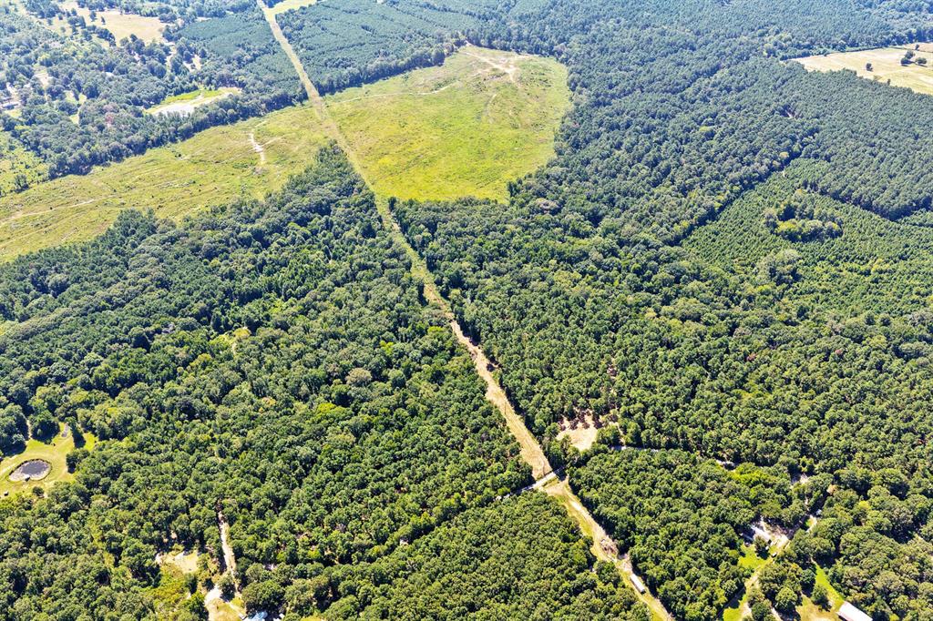 Lot 2 County Road 1240 Property Photo 4