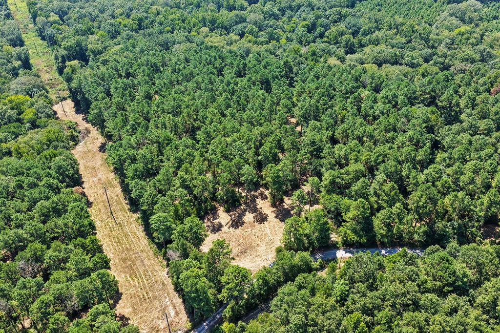 Lot 2 County Road 1240 Property Photo 5