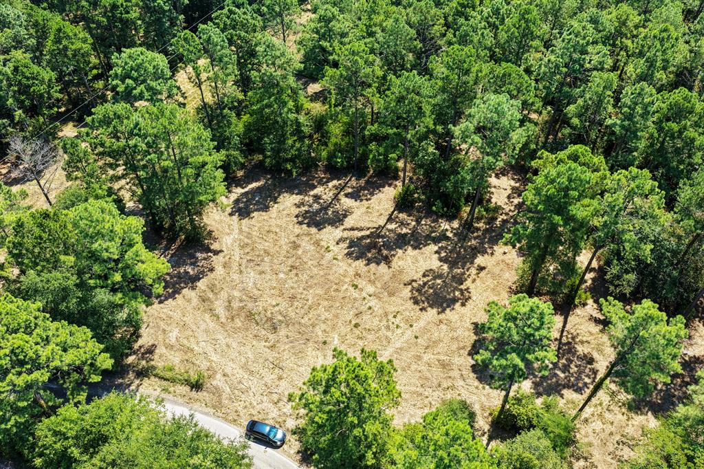Lot 2 County Road 1240 Property Photo 6
