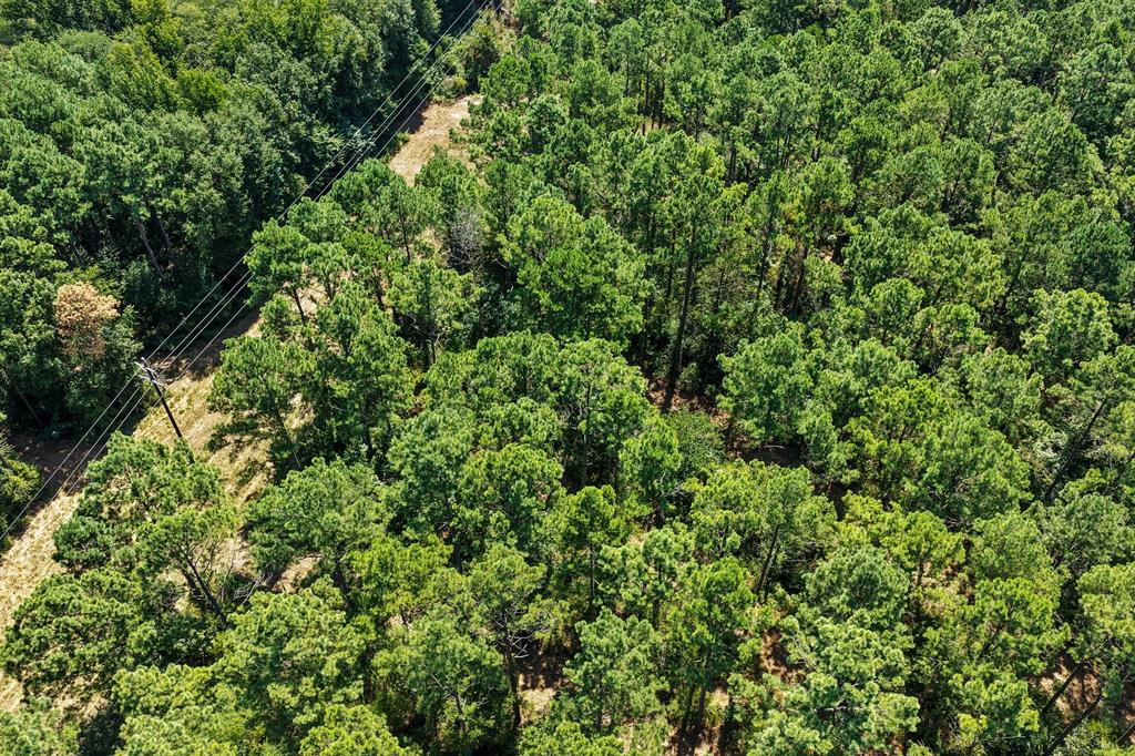 Lot 2 County Road 1240 Property Photo 7