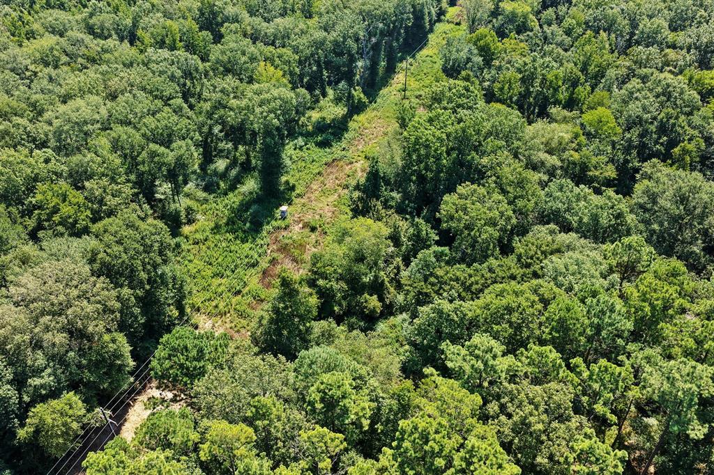 Lot 2 County Road 1240 Property Photo 8