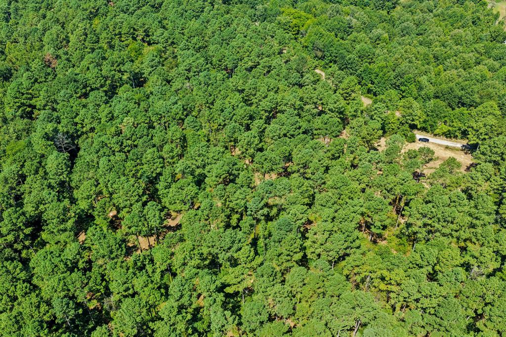 Lot 2 County Road 1240 Property Photo 9