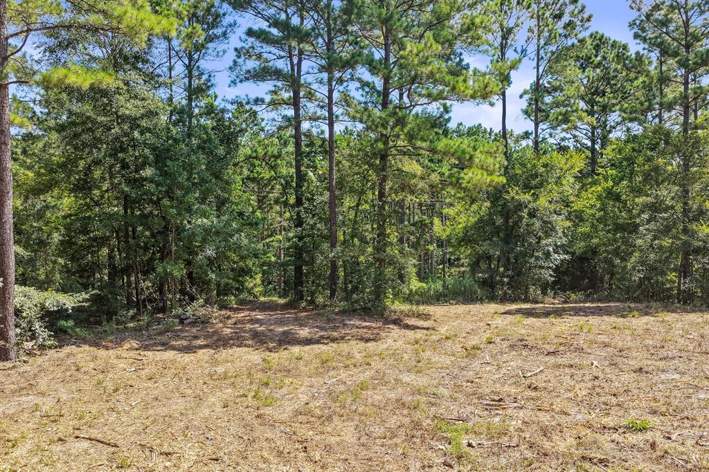 Lot 2 County Road 1240 Property Photo 10